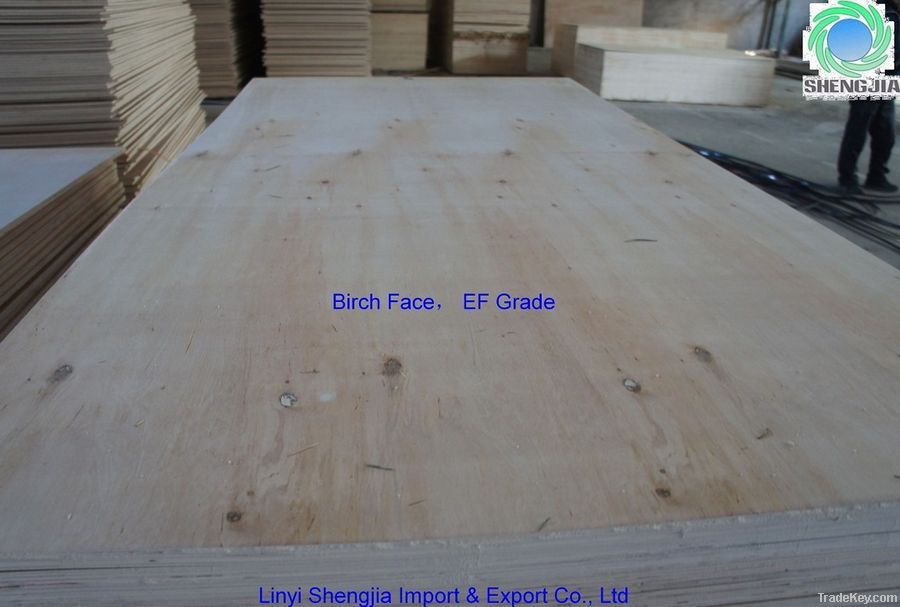 birch plywood