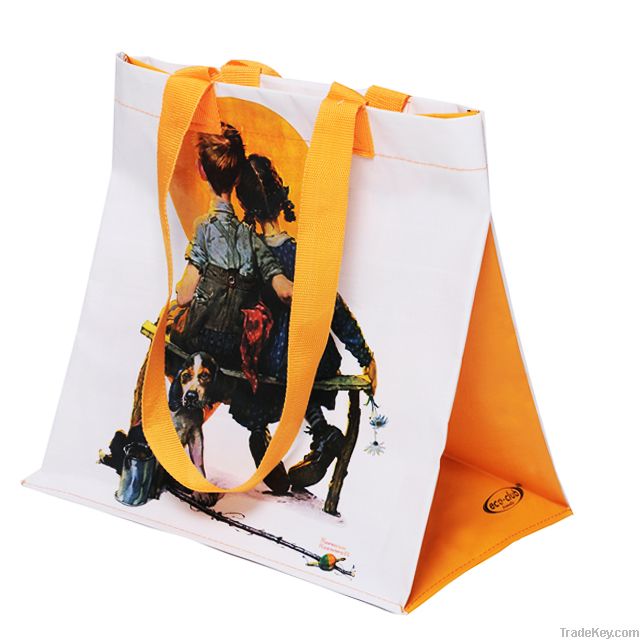 PP Woven Promotional Bag