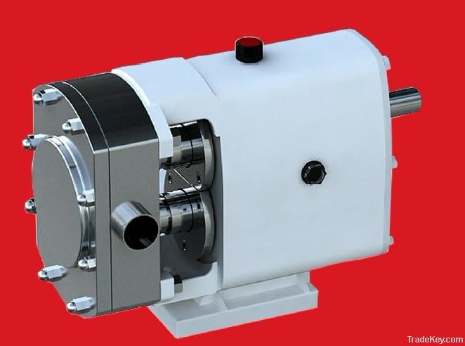 Rotary Lobe Pump -FluxSpeck