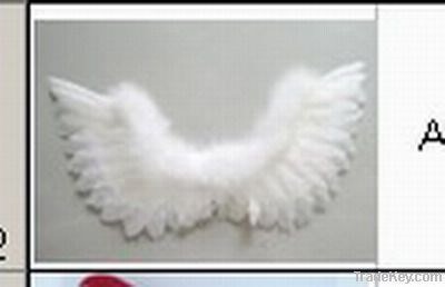 Angel Wing