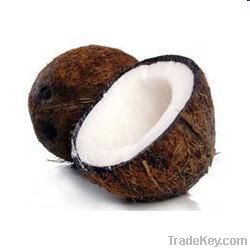 Semi & Fully husked coconut