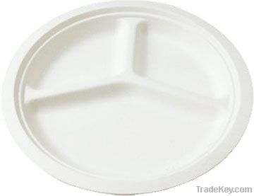 biodegradable disposable tableware--10inch plate with 3 food space