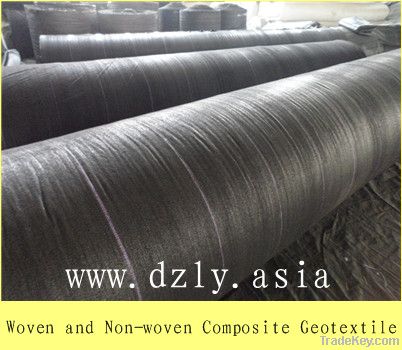 Multiduty Woven and Non-woven Composite Geotextile