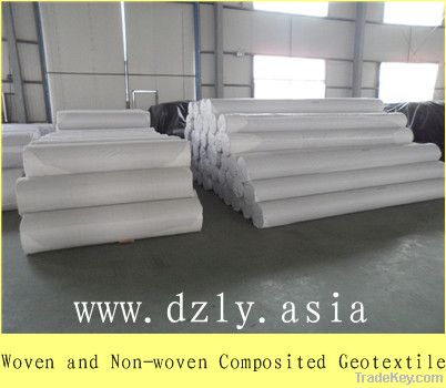 Woven/Non-woven geotextile