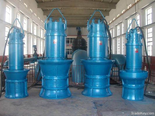 Axial Flow Pump