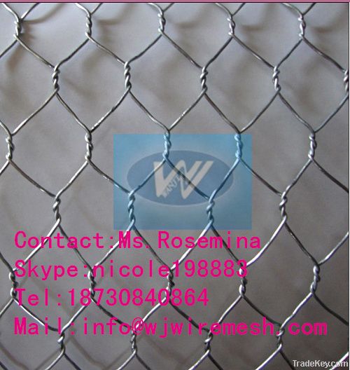 Gabion Mesh/Hexagonal Wire Netting