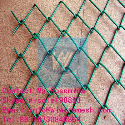 Chain Link Fence/Wire Mesh Fence