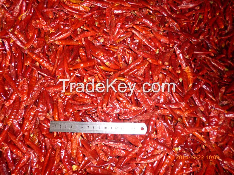 hot dried chilli