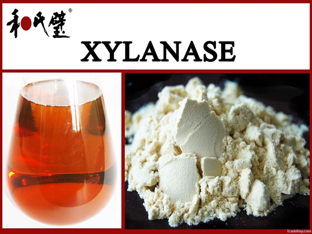 xylanase