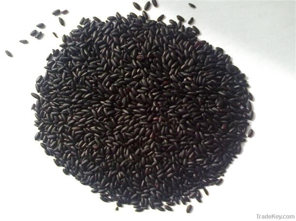 Purple Rice Extract