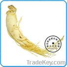 Ginseng Extract