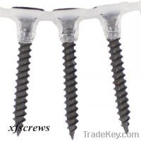 Collated Screws