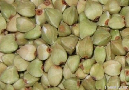 raw buckwheat kernels