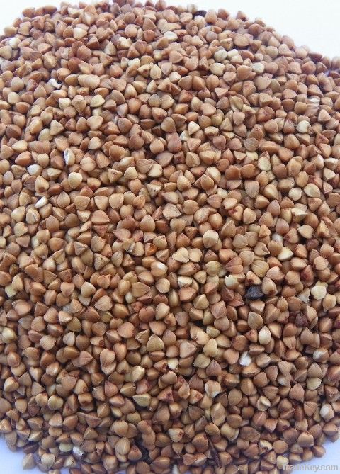 2012 new crop hulled buckwheat kernel