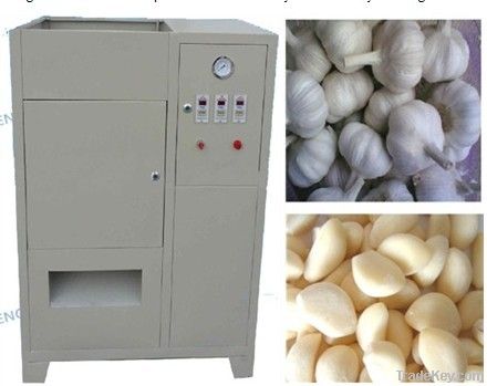 Hot sale Galic Machine / Galic Peeling for garlic clove