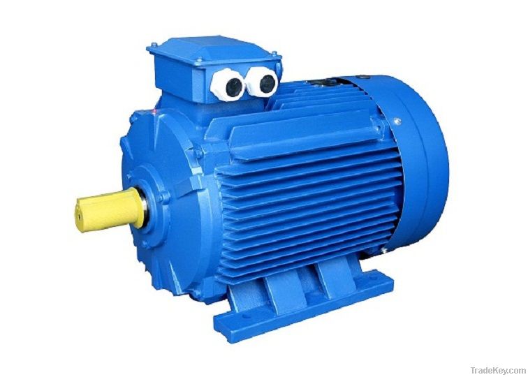 Y2 Series Three-phase Induction Motor