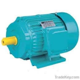 Y Series Three-phase Induction Electric Motor