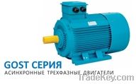 GOST Standard Electric Motor