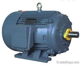 NEMA Standard High Efficiency Three-phase Induction Electric Motor