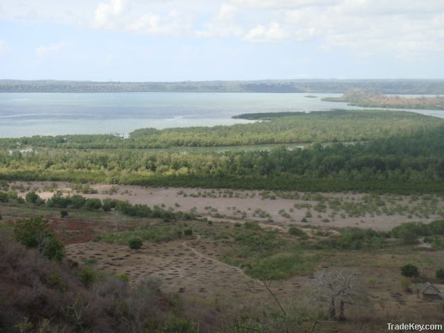 375.06 acres of breathtaking land touching Kilifi Creek!