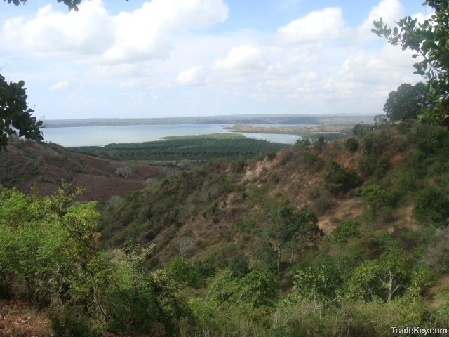 375.06 acres of breathtaking land touching Kilifi Creek!