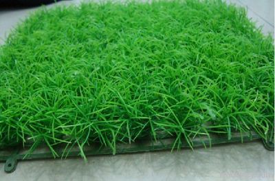 Artificial Grass