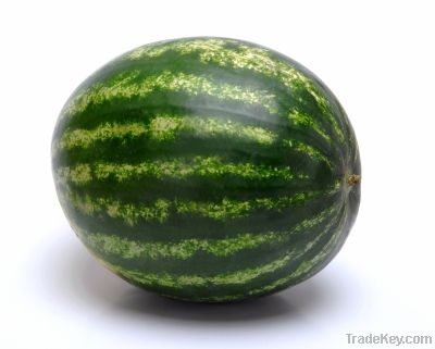 Water melon