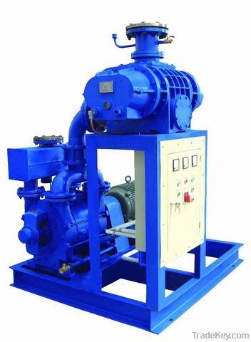 Liquid Ring Vacuum Pump