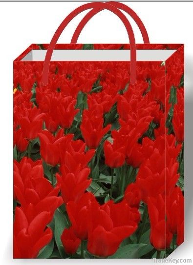 2012 Flower series Paper Bag