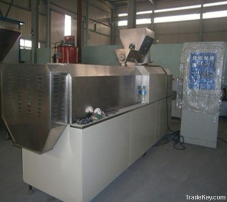 Corn Chips/Snacks Production Machinery