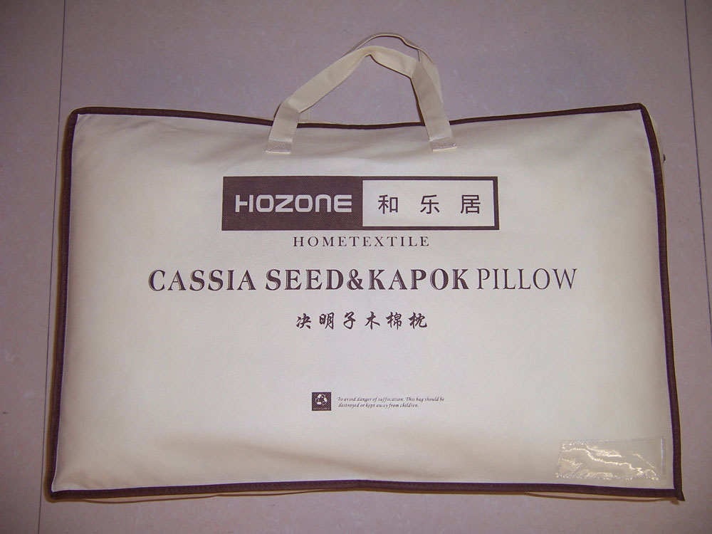 FUNCTION PILLOW