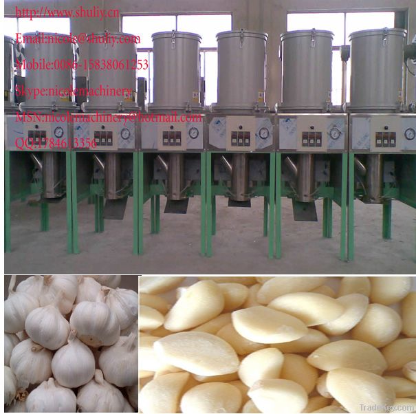 Shuliy garlic peeling garlic peeler garlic skinning garlic shelling