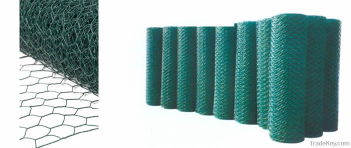 Hexagonal wire netting