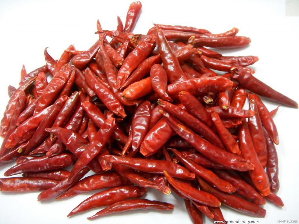 dried chilli