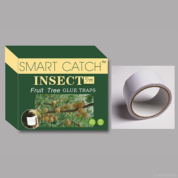 insect glue trap