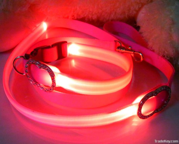 LED Pet collars and leashes