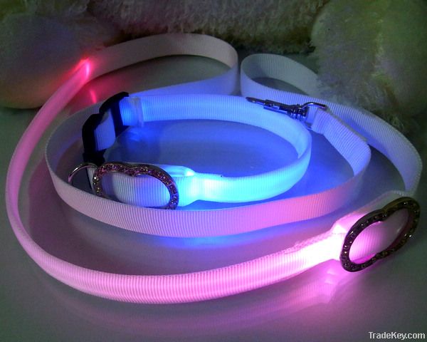 LED Pet collars and leashes