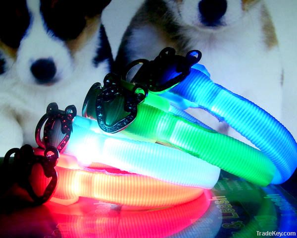 Pet collar