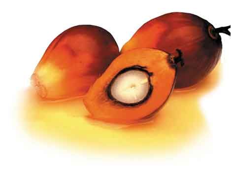 Crude Palm Oil