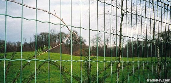 Euro welded fence