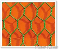 hexagonal wire netting