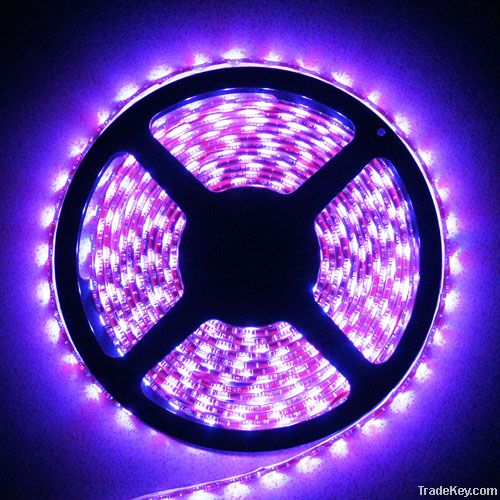 5050SMD RGB LED Strip