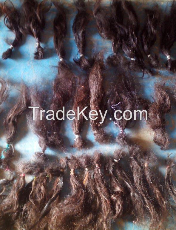 100 % human virgin rough unprocessed hairs