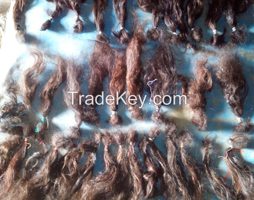 100 % human virgin rough unprocessed hairs
