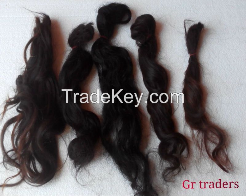 raw human hairs