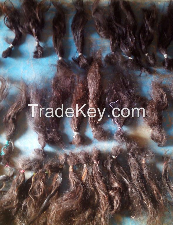 raw human hairs