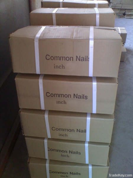 common nails