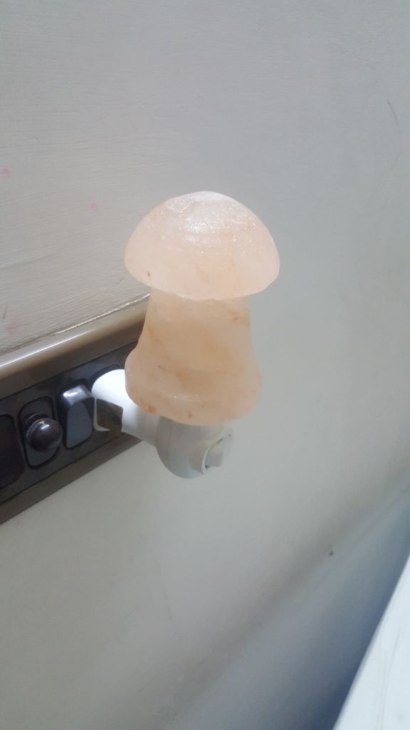 Mushroom Shape Himalayan Salt Night Light