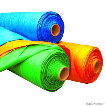 PE &amp; Plastic Tarpaulin