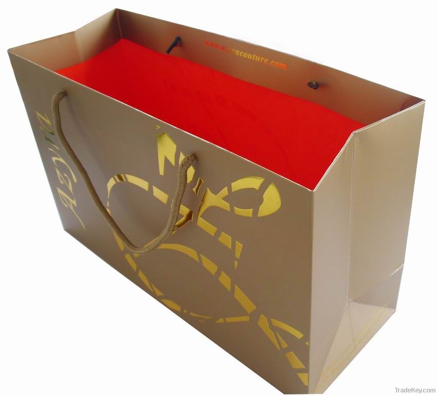 Luxury paper gift bag